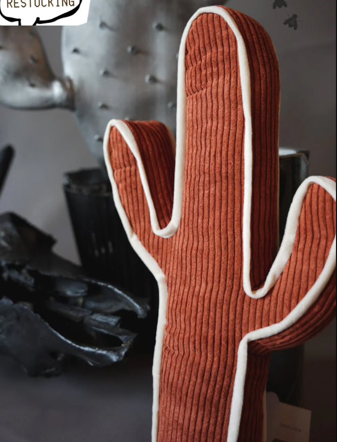 Kick a Cactus Pillow